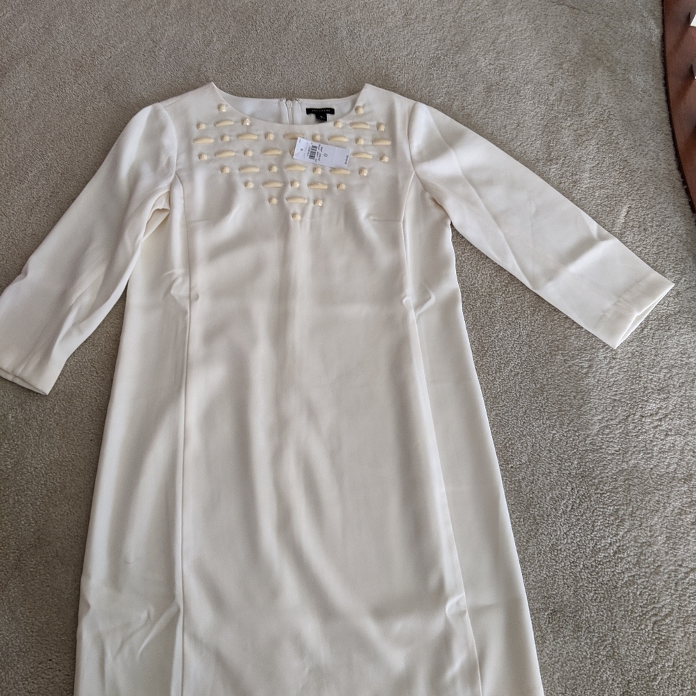 Ann Taylor shift dress NWT size 0